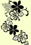 花纹 花朵  花