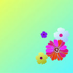 花纹 花朵 花