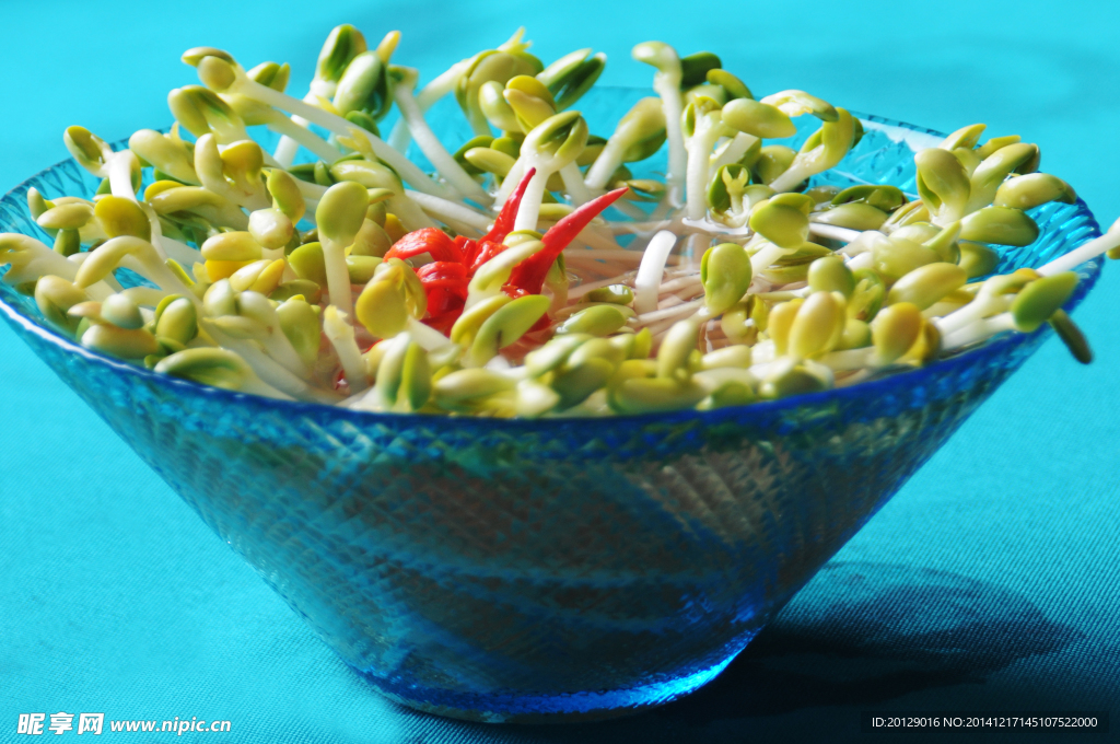 豆芽