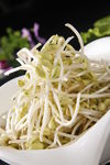 长豆芽