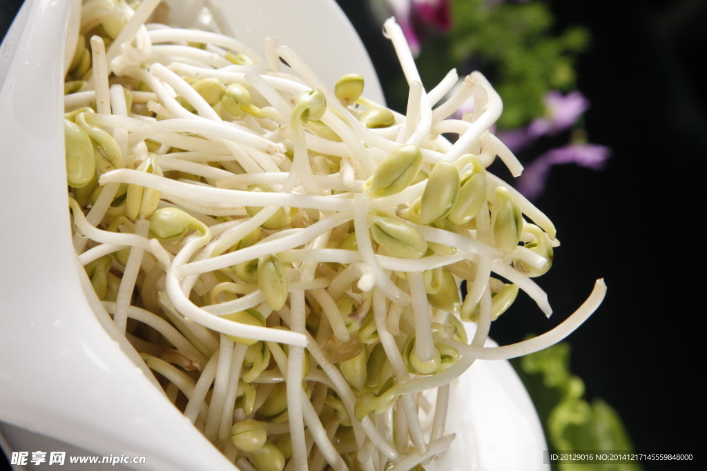 长豆芽