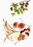蔬菜 插画