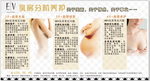 EV   乳房分阶养扩