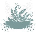 花纹