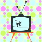 电视和猫