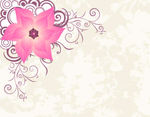 花纹