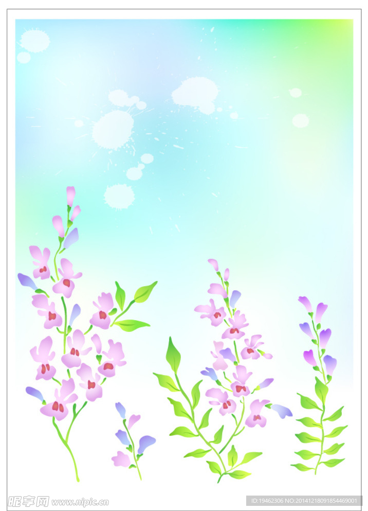 花朵  背景