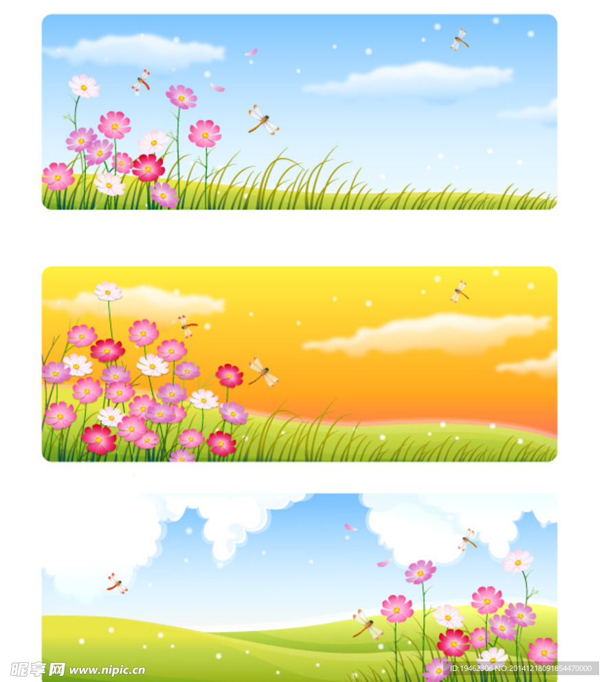 花朵  风景  背景