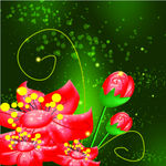 丑花