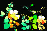 花纹 花  花朵