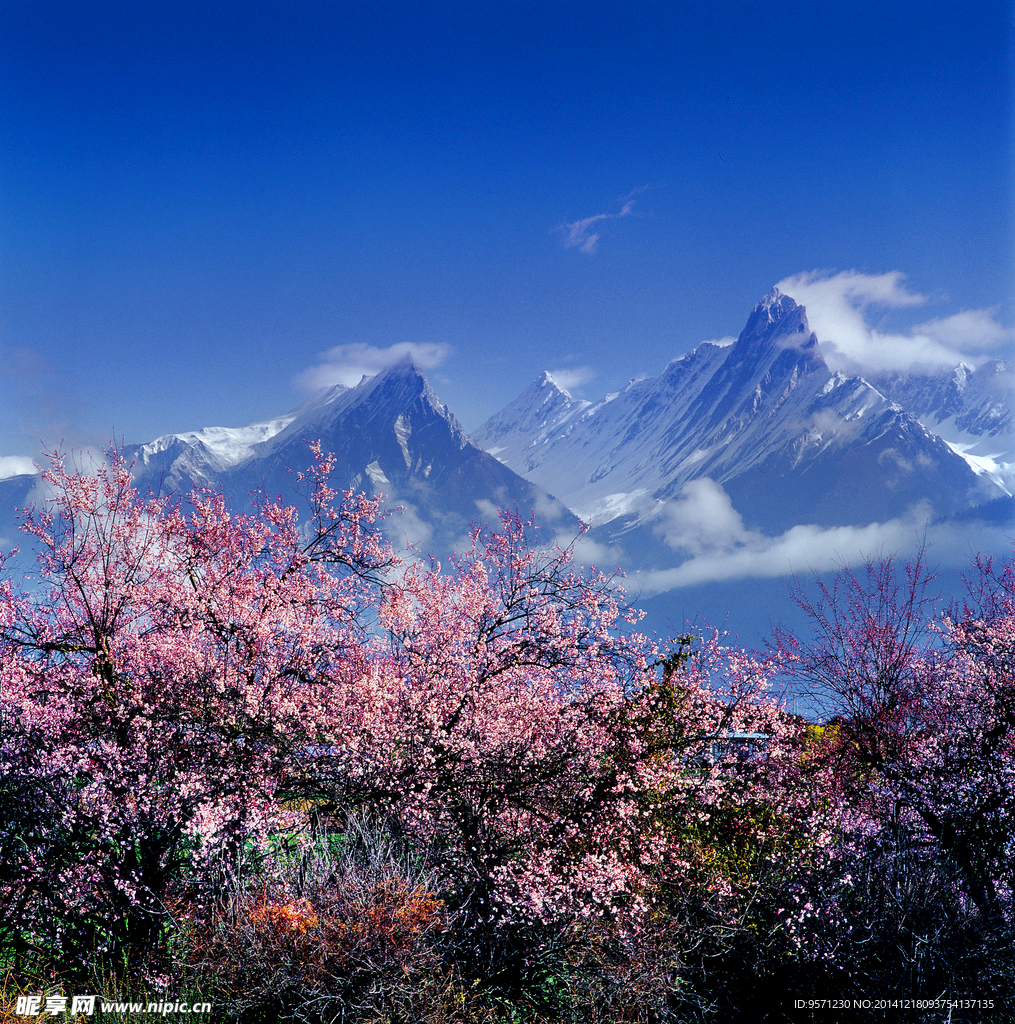 雪山风景