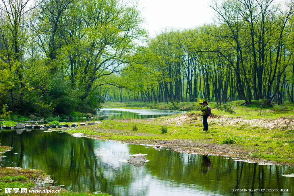 小河美景