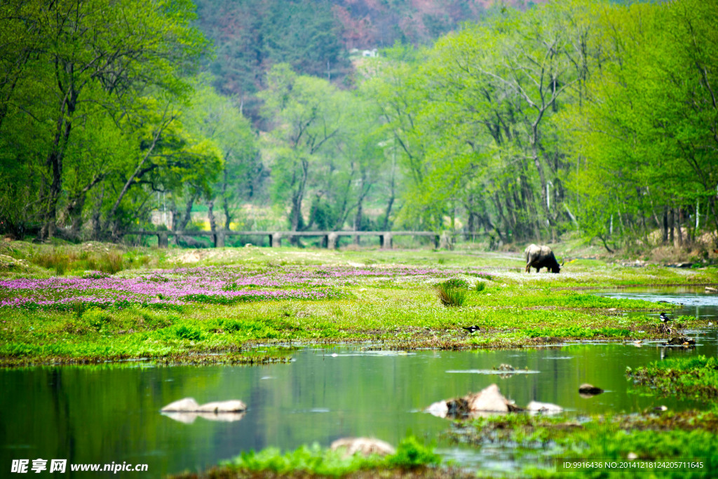 小河美景