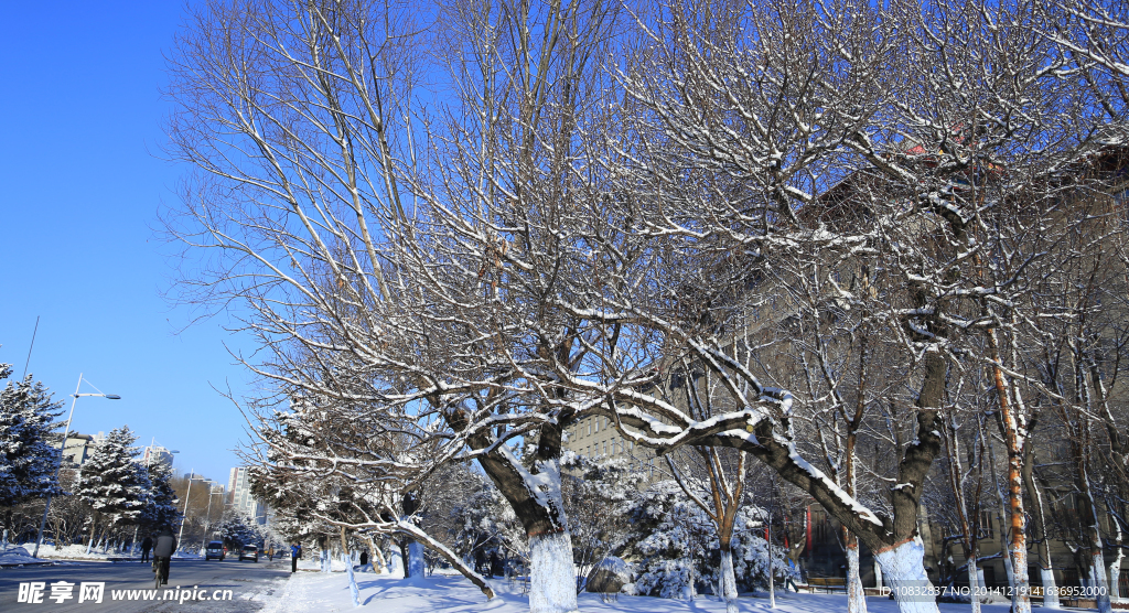 雪景