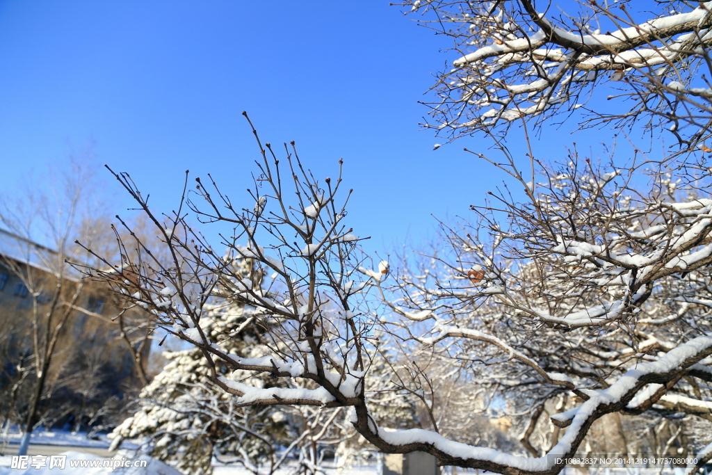 阳春白雪