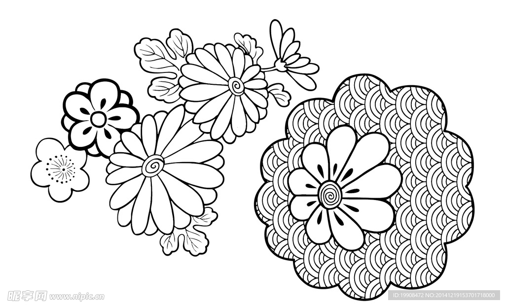花朵 花