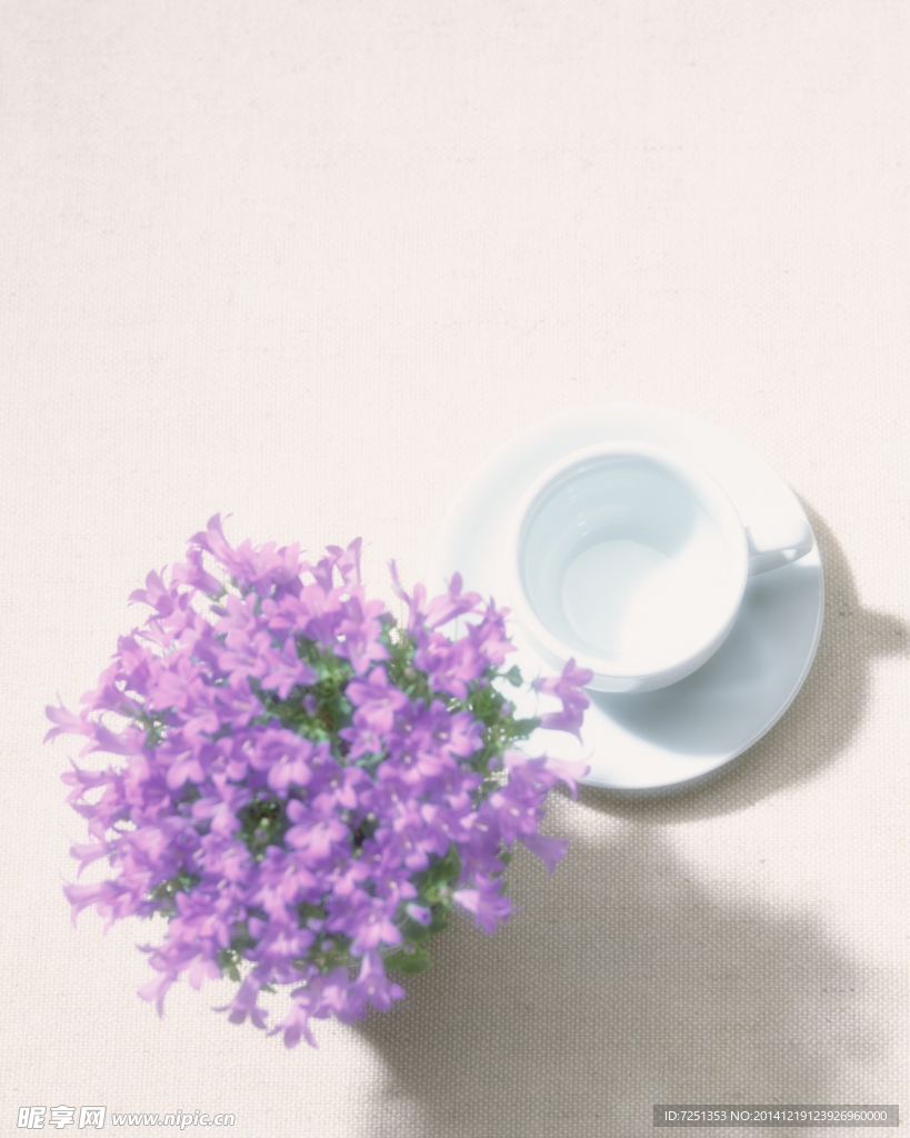 满星插花 花造型设计 插花照片