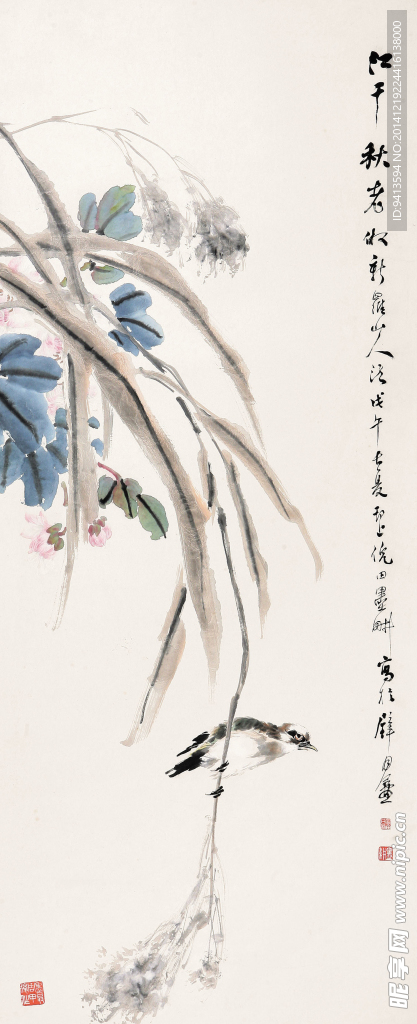花鸟