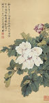 牡丹