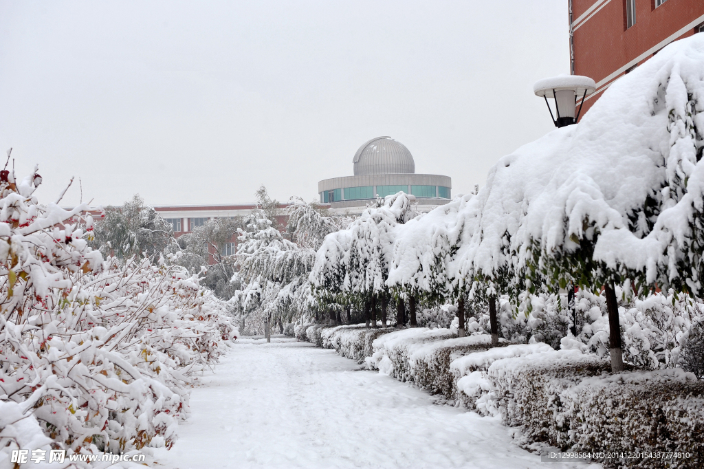 雪景