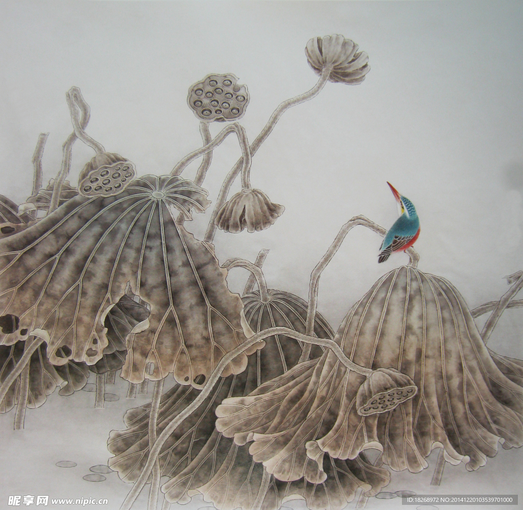 国画荷花
