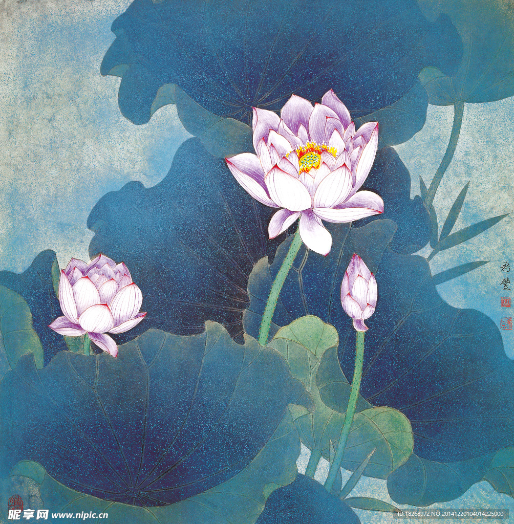 国画荷花