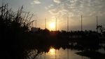 夕阳