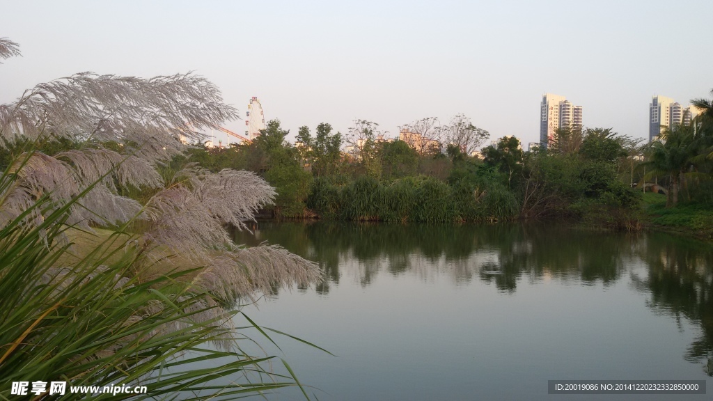 湖光美景