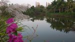 园林景色