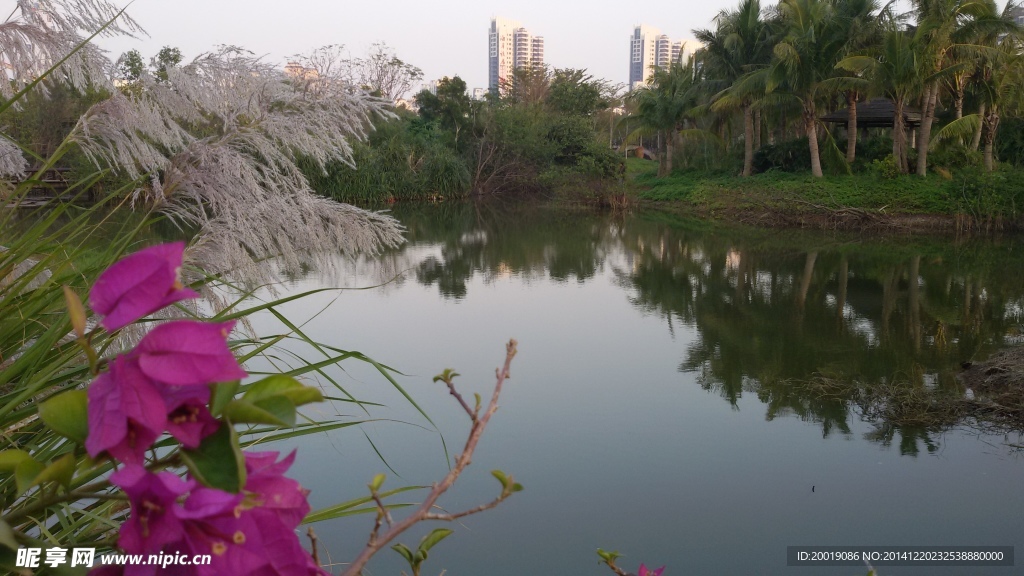 园林景色
