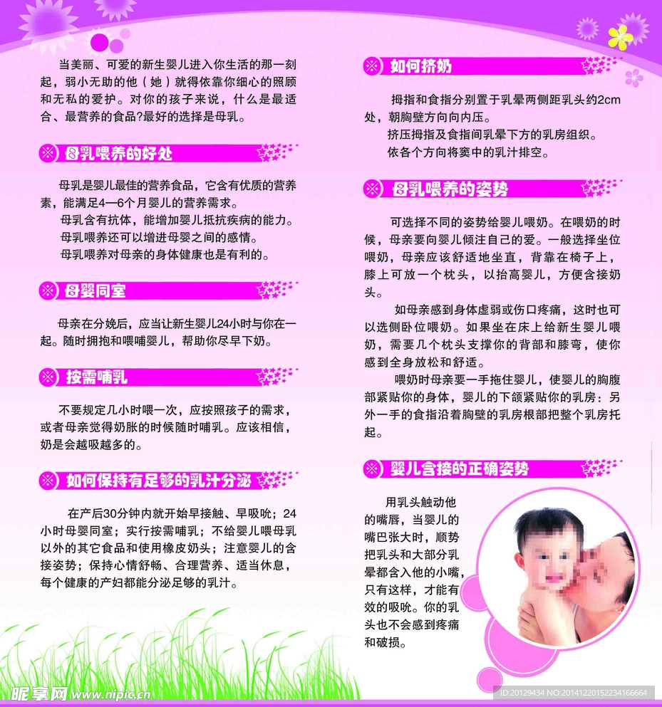 母婴折页