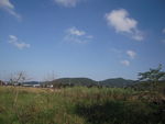 西山风景