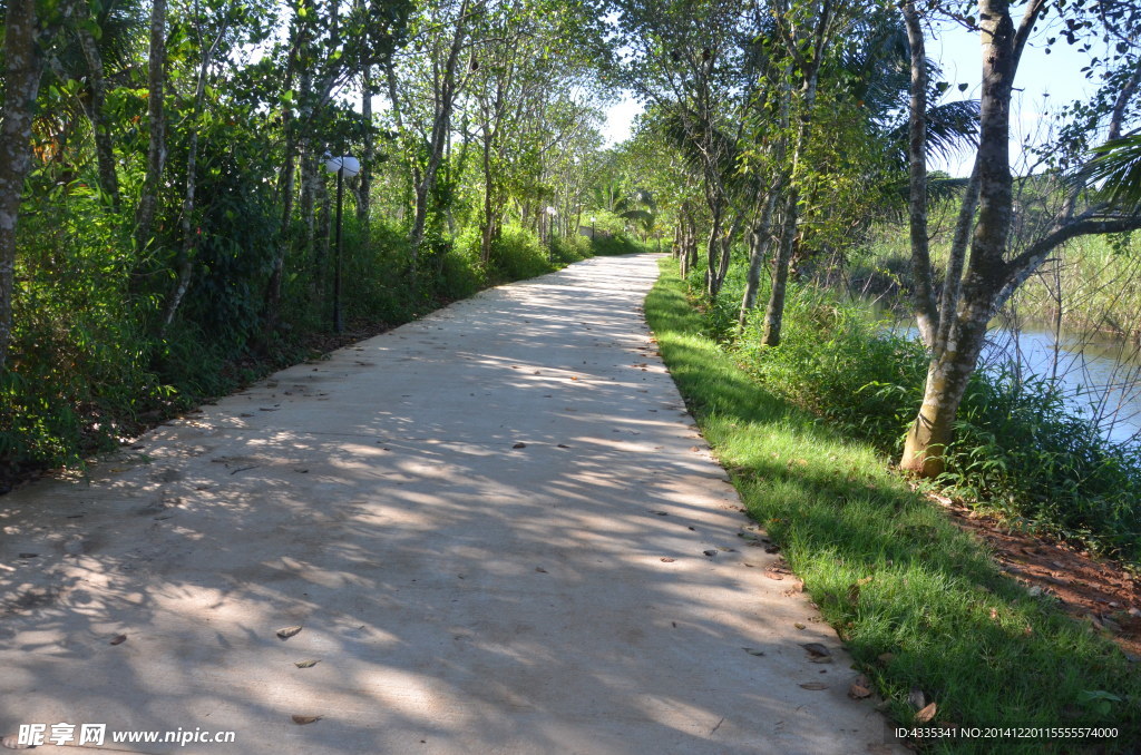 环湖路