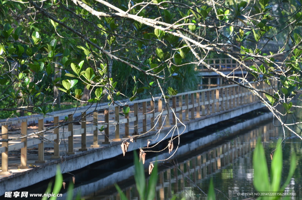 木栈道