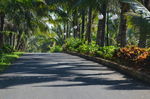 景观大道