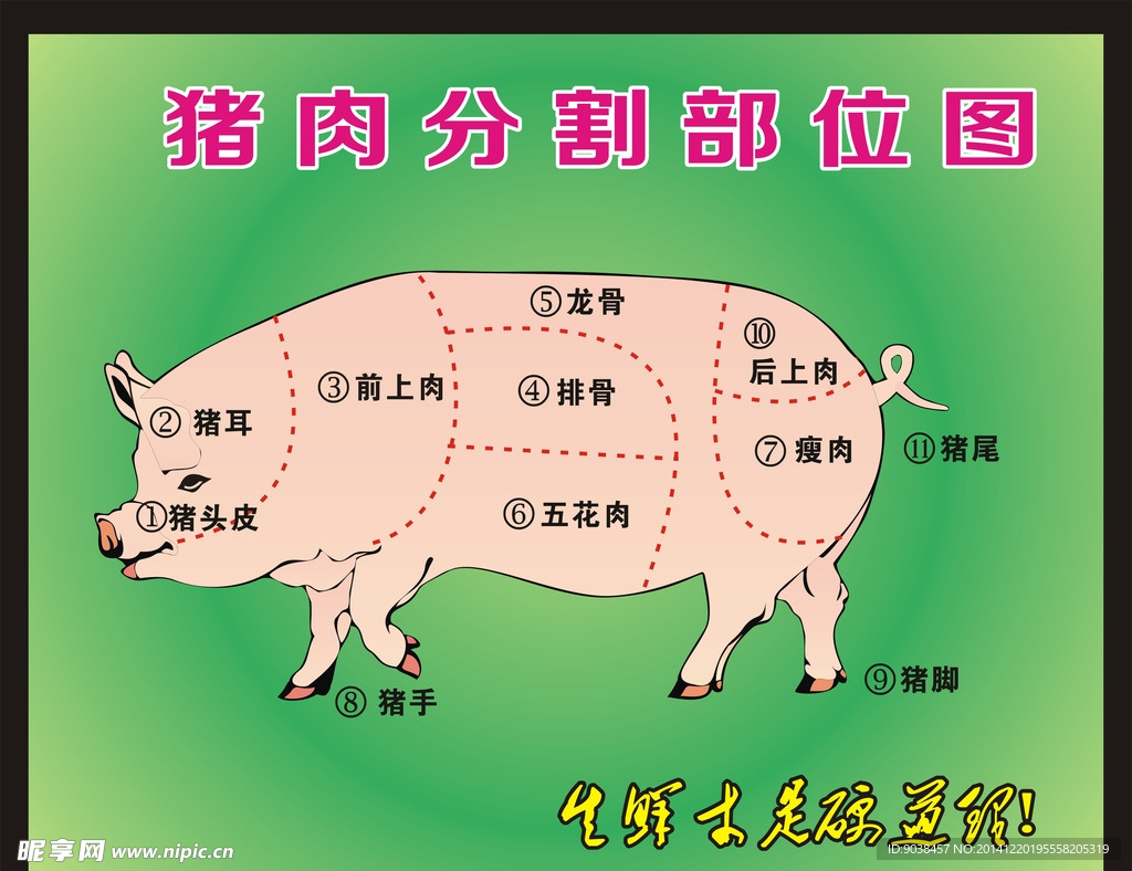 猪肉分割图