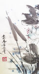 聚马凉石 凉马 书画人生 字画