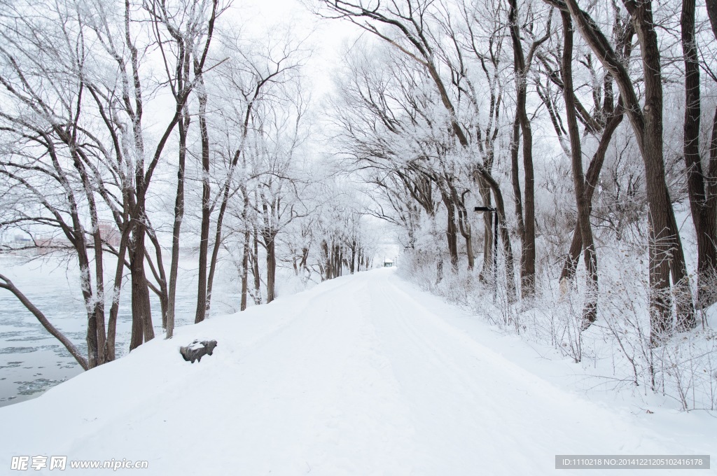 雪路