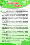 幼儿园教师岗位职责