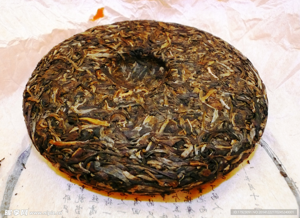 普洱