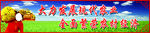 现代农业