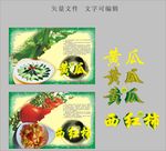 蔬菜简介