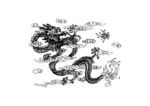 龙纹