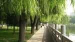 迎泽公园
