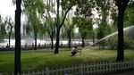 迎泽公园