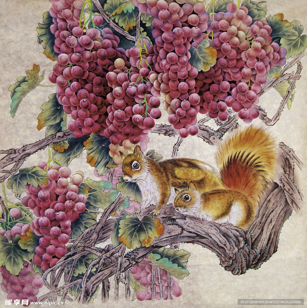 松鼠吃葡萄