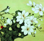 玉兰小鸟