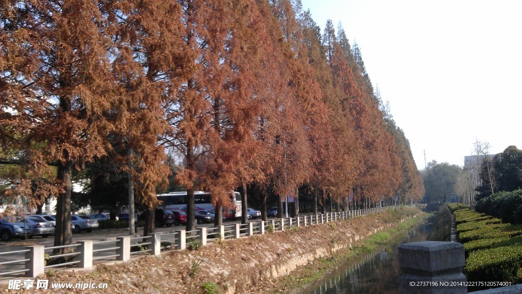 南京理工大学