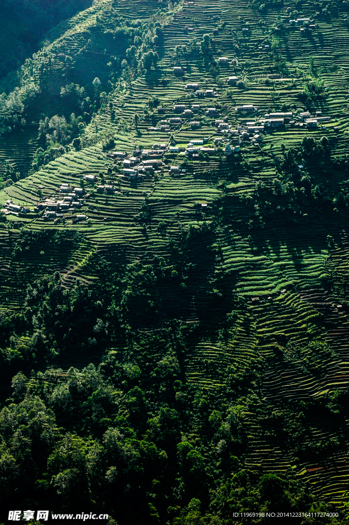 尼泊尔山间梯田农家院落