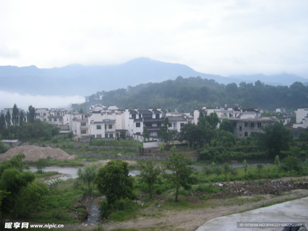 绿色风景